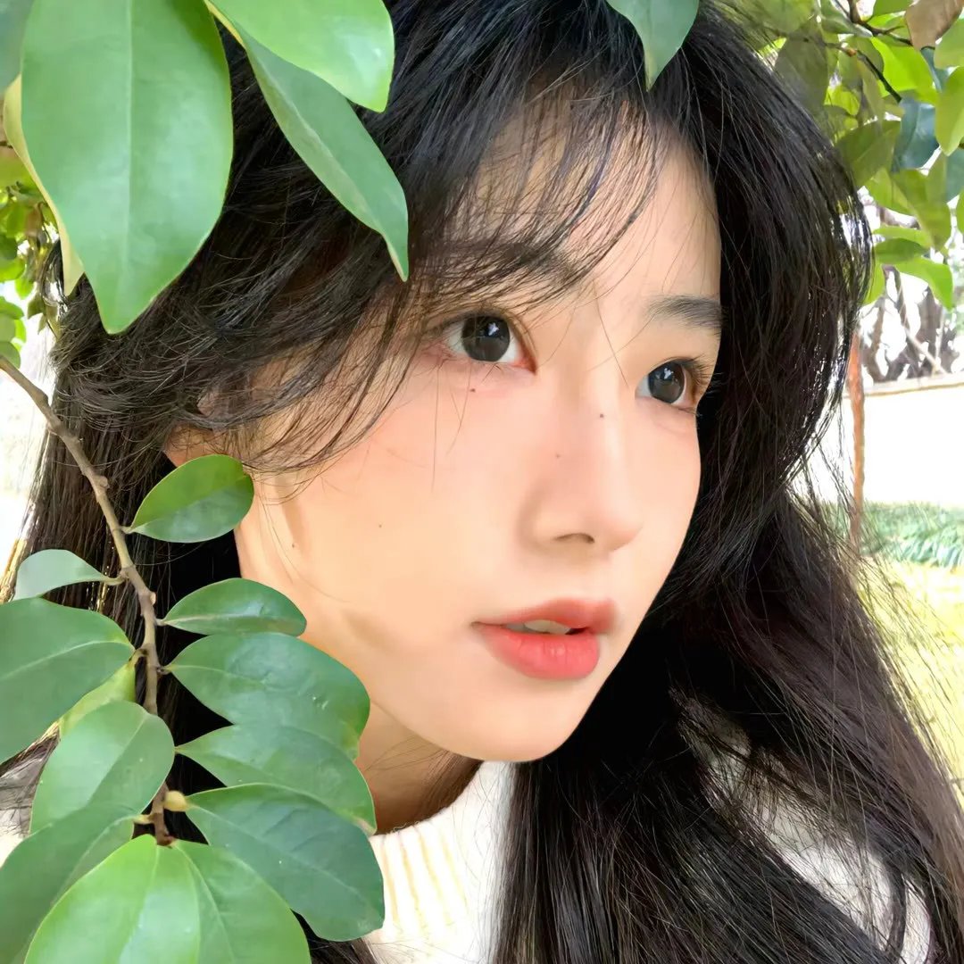 满船春色